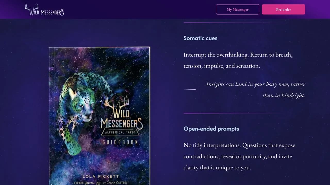 Wild Messengers guidebook section screenshot