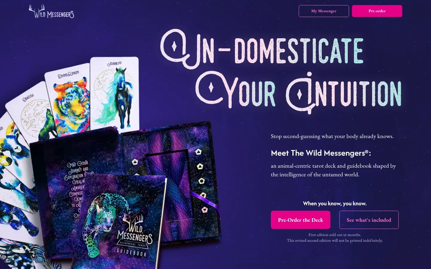 Wild Messengers — web design and development project by David Langarica